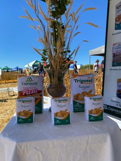 Dia de Campo Coprossel -Evento reuniu produtores, lideranças e empresas parceiras para apresentar tecnologias 